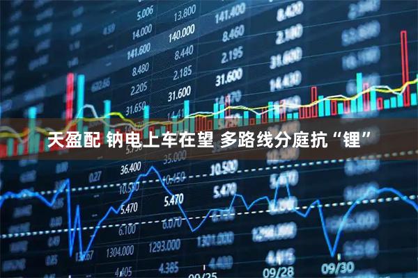 天盈配 钠电上车在望 多路线分庭抗“锂”