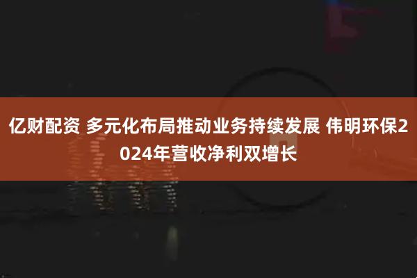 亿财配资 多元化布局推动业务持续发展 伟明环保2024年营收净利双增长