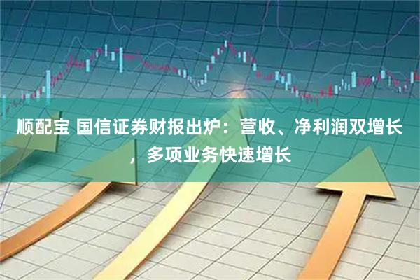 顺配宝 国信证券财报出炉：营收、净利润双增长，多项业务快速增长