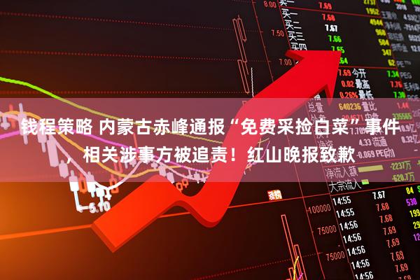 钱程策略 内蒙古赤峰通报“免费采捡白菜”事件，相关涉事方被追责！红山晚报致歉