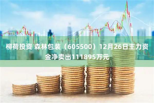 柳荷投资 森林包装(605500)12月26日主力资金净卖出111895万元